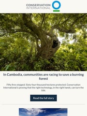 Email Inspiration from Conservation International