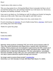 Email Inspiration from Corbin from BRĒZ
