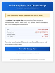 Email Inspiration from Critical File Deletion Team