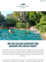 Email Inspiration from Discovery Cove