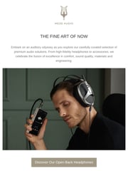 Email Inspiration from Meze Audio