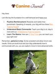 Email Inspiration from Michelle | Canine Journal