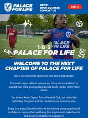 Email Inspiration from Palace for Life Foundation