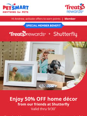 Email Inspiration from PetSmart