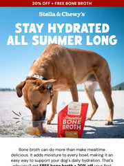 Email Inspiration from Stella & Chewy's