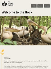 Email Inspiration from The Royal Parks