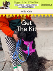 Email Inspiration from Wild One