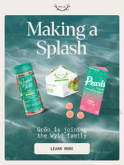 Email Inspiration from Wyld