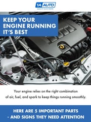 Email Inspiration from 1A AUTO