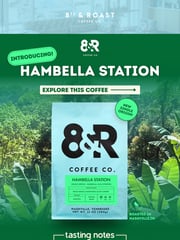 Email Inspiration from 8th & Roast Coffee