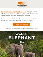 Email Inspiration from African Wildlife Foundation