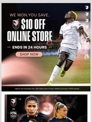 Email Inspiration from Angel City Store