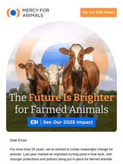 Email Inspiration from Arash, Mercy For Animals