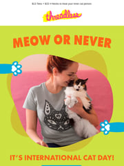 Email Inspiration from Ashley at Threadless