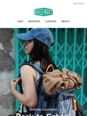 Email Inspiration from BAGSMART