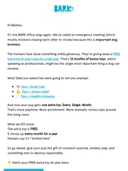 Email Inspiration from BARK