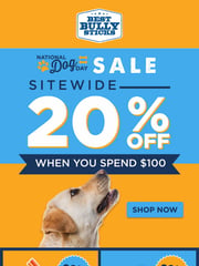 Email Inspiration from Best Bully Sticks