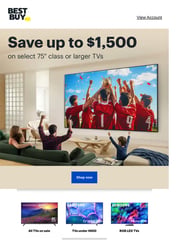 Email Inspiration from Best Buy