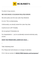 Email Inspiration from BIG BLANKET CO