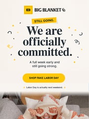 Email Inspiration from BIG BLANKET CO