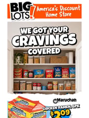 Email Inspiration from Big Lots!