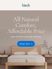 Email Inspiration from Birch