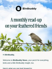 Email Inspiration from Birdbuddy