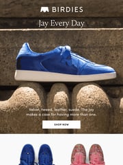 Email Inspiration from Birdies