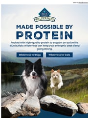 Email Inspiration from Blue Buffalo