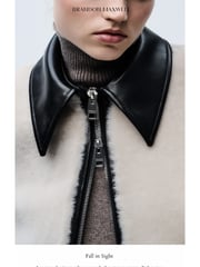 Email Inspiration from Brandon Maxwell