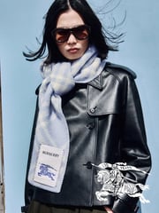 Email Inspiration from Burberry