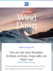 Email Inspiration from Calm
