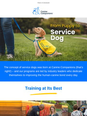 Email Inspiration from Canine Companions