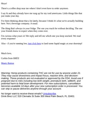 Email Inspiration from Corbin from BRĒZ