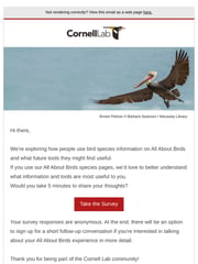 Email Inspiration from Cornell Lab of Ornithology