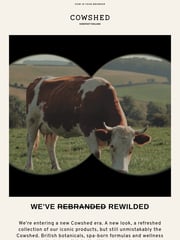 Email Inspiration from Cowshed