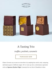 Email Inspiration from Dandelion Chocolate