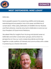 Email Inspiration from Defenders of Wildlife