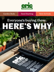 Email Inspiration from 🌱 Epic Gardening