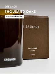 Email Inspiration from Erewhon