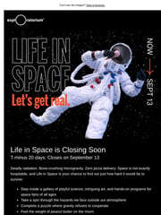 Email Inspiration from Exploratorium Newsletter