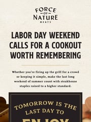 Email Inspiration from Force of Nature