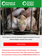 Email Inspiration from Friends of the Earth