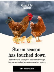 Email Inspiration from Grubbly Farms