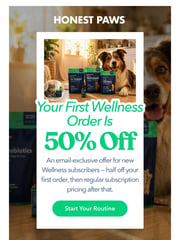 Email Inspiration from Honest Paws