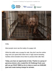 Email Inspiration from Humane World for Animals
