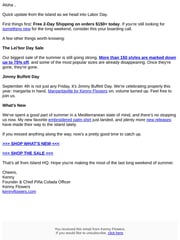 Email Inspiration from Kenny Flowers