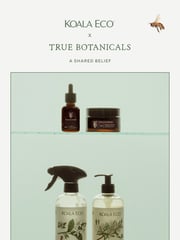Email Inspiration from Koala Eco USA