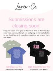 Email Inspiration from Laree + Co.