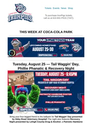 Email Inspiration from Lehigh Valley IronPigs